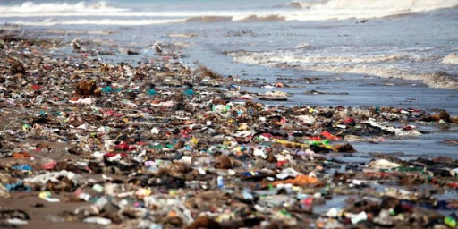 UNA INVESTIGACIÓN ALERTA SOBRE MICROPLÁSTICOS EN PLAYAS ARGENTINAS